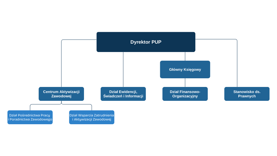Struktura organizacyjna PUP